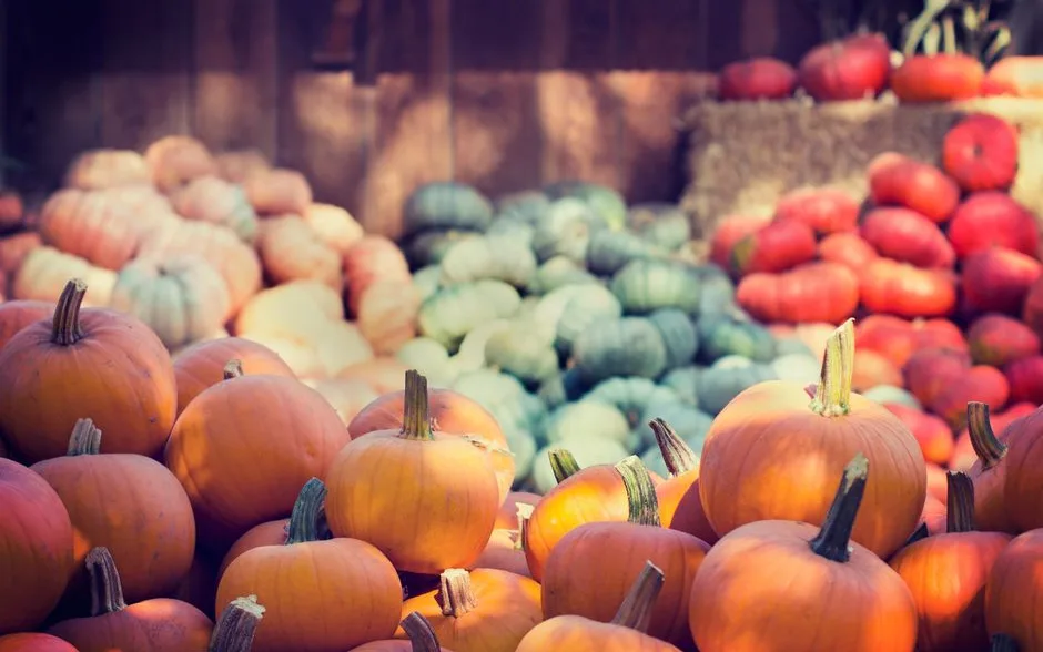 Produits de saison : automne